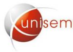 Unisem